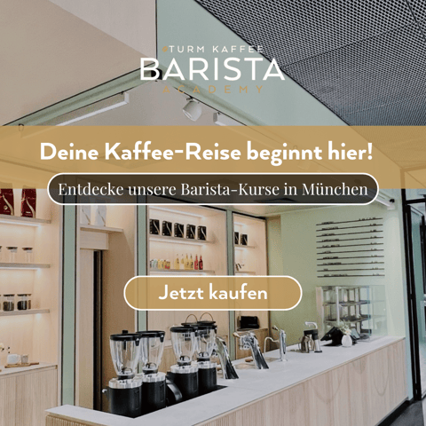 B2B digital performance marketing & online advertising